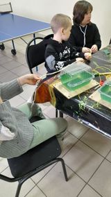Лиза и Ваня за работой